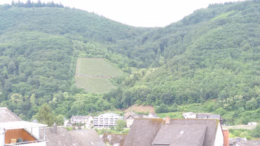 Gästehaus Kiesgen-Mendgen Bernkastel-Kues Exterior foto